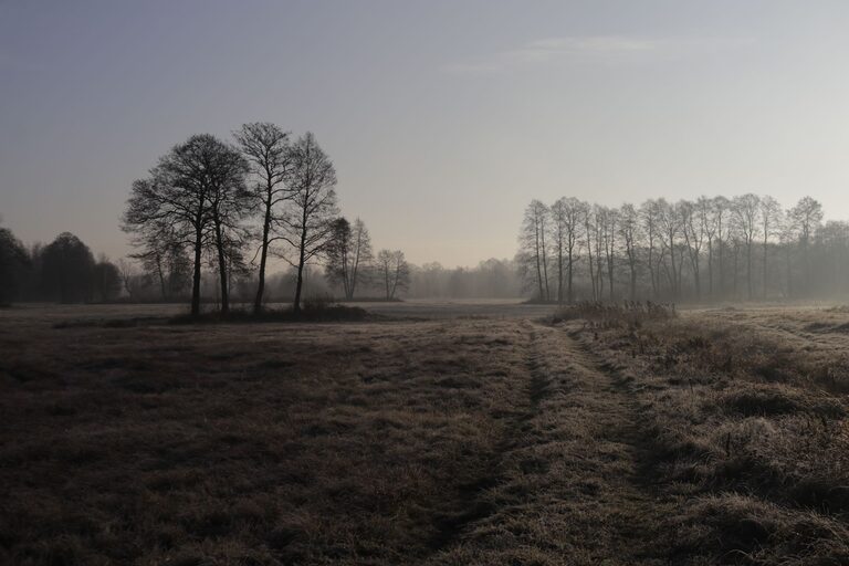 Ideas for Peaceful Weekend Mornings to Refresh Your Soul